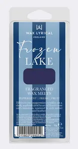 WAX MELT FROZEN LAKE