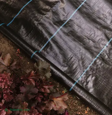 Weedstop Ultimate Path & Patio Weed Fabric 50%XF - image 5