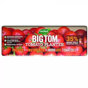 Big Tom Super Tomato PlanterLarge