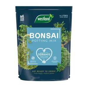 Westland Bonsai Potting Mix Peat Free 4L