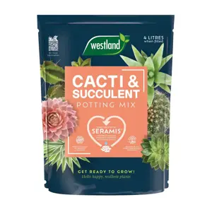 Cacti Potting Mix 4L 23/24