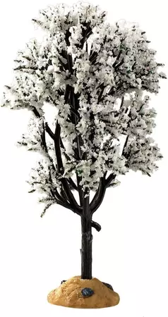 WHITE HAWTHORN TREE
