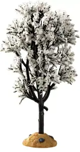 WHITE HAWTHORN TREE