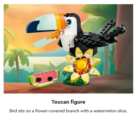 Wild Animals: Tropical Toucan - image 3