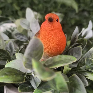 Wild Bird Collection Robin Plant Pal - image 2