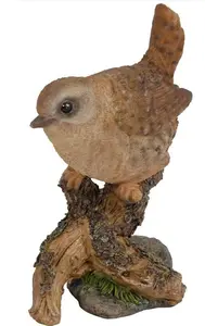 WBC Wren F