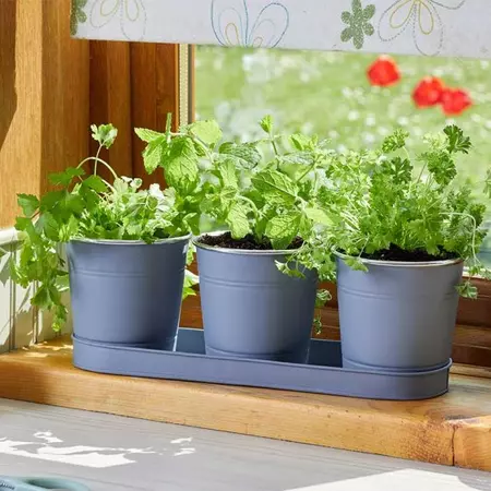Windowsill Herb Pots - Slate 3-PK - image 1