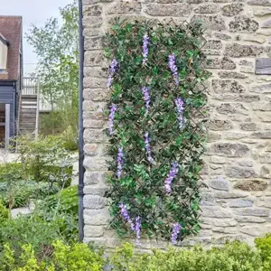 Wisteria Trellis 180 x 90 cm