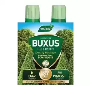 Westland 2 in1 Feed and Protect Buxus 2 x 500ml