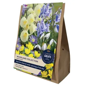 WOODLAND COLLECTION Garden Greats