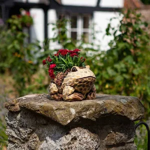 Woodland Frog Planter - image 2