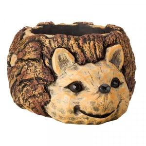 Woodland Hedgehog