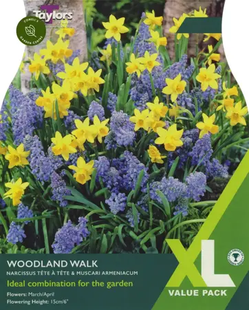 Woodland Walk Xl