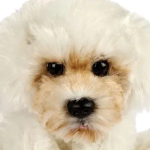 Yomiko Small Sitting Dog Maltese - image 2