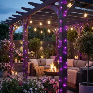 Zesty Fairy Lights Purple